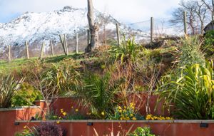 Photo 35- click for photo gallery